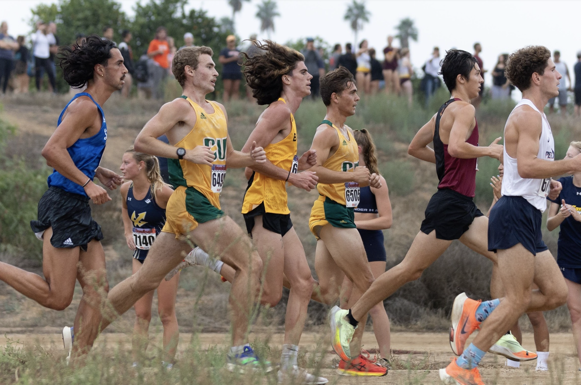 Men's Cross Country